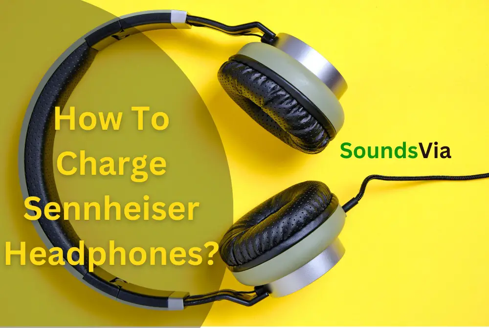 How To Charge Sennheiser Headphones?